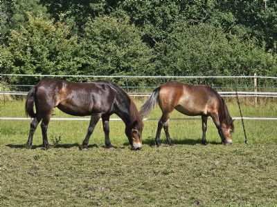 Customer Success Gallery - 